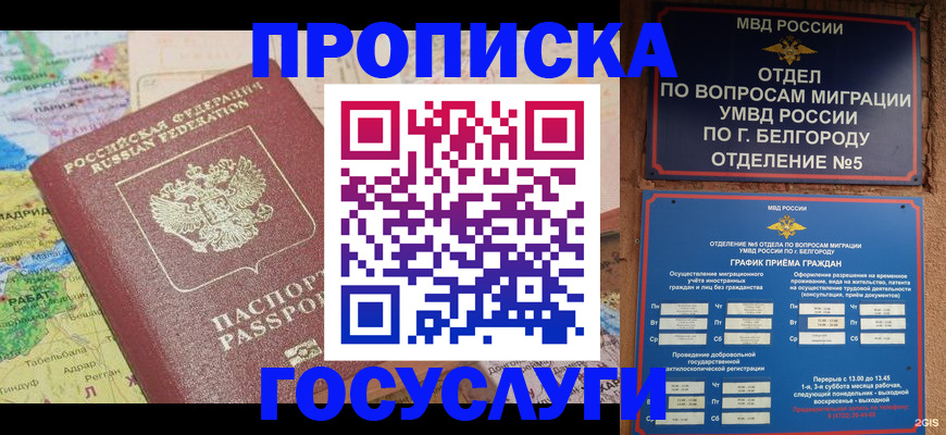 прописка регистрация в Мончегорске